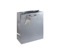Clairefontaine 30864-3Cpack - Juego de 6 bolsas de regalo Excellia, tamaño mediano, 21,5 x 10,2 x 25,3 cm, 210 g, diseño de estrellas sobre fondo plateado, embalaje de regalo, ideal para: libro,
