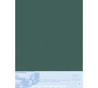 Clairefontaine 396009C Contracolado Papel Pastelmat - 5 Hojas Contracoladas Cartulina Especial para Pasteles Secos - 70x100 cm 360g 1,8 mm - Antracita