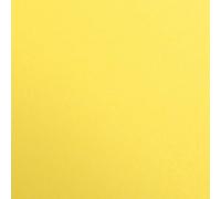 Clairefontaine 397254C Resma de Papel Maya - 125 Hojas Papel de Dibujo Liso Amarillo Limón - 50x70 cm 270g - Ideal para el Dibujo y las Actividades Creativas