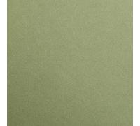 Clairefontaine 397270C Resma de Papel Maya - 125 Hojas Papel de Dibujo Liso Caqui - 50x70 cm 270g - Ideal para el Dibujo y las Actividades Creativas