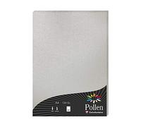 Clairefontaine 4199C - Un étui de 50 feuilles Pollen 21x29,7 cm 120g, Argent