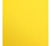 Clairefontaine 48053C Paquete Papel Maya - 25 Hojas Papel de Dibujo Liso Amarillo Sol - A3 29,7x42 cm 270g - Ideal para el Dibujo y las Actividades Creativas