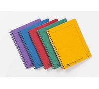 Clairefontaine 482/1124z Europa Notemaker - Lote de 5 cuadernos de espiral (22,5 x 29,7 cm 240 páginas desmontables perforadas 4 agujeros con rayas y margen, colores surtidos)