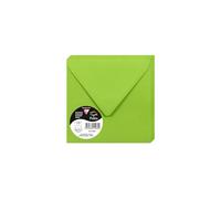 Clairefontaine 5548C - Un paquet de 20 enveloppes Pollen gommées 14x14 cm 120g, Vert menthe
