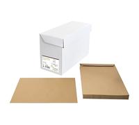 Clairefontaine 67502C - Caja de 250 bolsas Forever Kraft Brown 100% recicladas C4 - 229x324 mm - Autoadhesivas - 90 g/m²