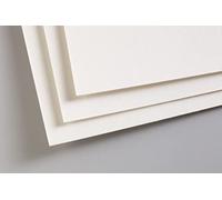 Clairefontaine 696010C Paquete de Papel Pastelmat - 5 Hojas Cartulina Especial para Pasteles Secos - A3 29,7x42 cm 360g - Blanco