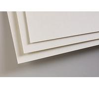 Clairefontaine 696020C Paquete de Papel Pastelmat - 5 Hojas Cartulina Especial para Pasteles Secos - A3 29,7x42 cm 360g - Gris Claro