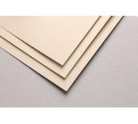 Clairefontaine 696166C Paquete Papel Pastelmat - 5 Hojas Cartulina Especial para Pasteles Secos - A3 29,7x42 cm 360g - Beige