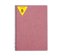 Clairefontaine 781426Cpack - Age Bag cahier reliure intégrale 21x29,7cm 100p Q.5x5 rose antique - PAQ DE 5