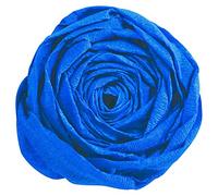 Clairefontaine 901013C - Un paquet de 10 feuilles de crépon standard 2x0,50m, crépâge 40 %, Bleu France