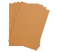 Clairefontaine 90789C - Paquete de papel de dibujo de grano Etival Color 25 hojas 29, 7 x 42 cm, 160 g, óxido
