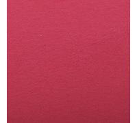 Clairefontaine 90861C Etival Color, doble grano, 5 hojas 21 x 29,7 cm, 160 g, fucsia