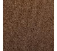 Clairefontaine 90865C Paquete de papel Etival, 29,7 x 21 x 0,1 cm, marrón