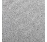 Clairefontaine 90867C Etival Color, doble grano, 5 hojas 21 x 29,7 cm, 160 g, gris