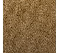 Clairefontaine 90877C Etival Color, doble grano, 5 hojas 21 x 29,7 cm, 160 g, color habana