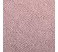 Clairefontaine 90883C Paquete de papel Etival, 29,7 x 21 x 0,1 cm, rosa oscuro