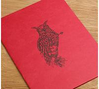 Clairefontaine 930033C Cuaderno Cosido Flying Spirit - 50 Hojas Papel Ivory Sketch 21x16 cm 90g - Portada en Cartulina Roja - Ilustración impresa al dorso aleatoriamente