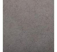 Clairefontaine 93762C Paquete Papel Etival Color - 24 Hojas Papel de Dibujo con Grano Gris Chiné - 50x65 cm 160g - Ideal para el Dibujo y las Actividades Creativas