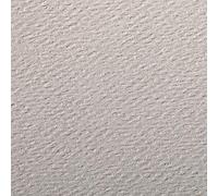 Clairefontaine 93769C Paquete Papel Etival Color - 24 Hojas Papel de Dibujo con Grano Gris Rosa - 50x65 cm 160g - Ideal para el Dibujo y las Actividades Creativas