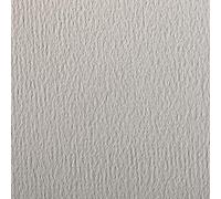 Clairefontaine 93781C Paquete Papel Etival Color - 24 Hojas Papel de Dibujo con Grano Gris Claro - 50x65 cm 160g - Ideal para el Dibujo y las Actividades Creativas