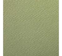Clairefontaine 93784C Paquete Papel Etival Color - 24 Hojas Papel de Dibujo con Grano Verde Almendra - 50x65 cm 160g - Ideal para el Dibujo y las Actividades Creativas