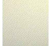 Clairefontaine 93792C Paquete Papel Etival Color - 24 Hojas Papel de Dibujo con Grano Tilleul - 50x65 cm 160g - Ideal para el Dibujo y las Actividades Creativas
