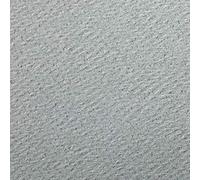 Clairefontaine 93795C Paquete Papel Etival Color - 24 Hojas Papel de Dibujo con Grano Gris Cielo - 50x65 cm 160g - Ideal para el Dibujo y las Actividades Creativas