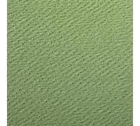 Clairefontaine 93796C Paquete Papel Etival Color - 24 Hojas Papel de Dibujo con Grano Verde Manzana - 50x65 cm 160g - Ideal para el Dibujo y las Actividades Creativas