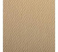 Clairefontaine 93866C Paquete Papel Etival Color - 25 Hojas Papel de Dibujo con Grano Camel - A4 21x29,7 cm 160g - Ideal para el Dibujo y las Actividades Creativas