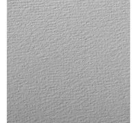 Clairefontaine 93867C Paquete Papel Etival Color - 25 Hojas Papel de Dibujo con Grano Gris - A4 21x29,7 cm 160g - Ideal para el Dibujo y las Actividades Creativas