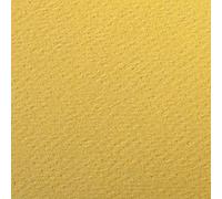Clairefontaine 93871C Paquete Papel Etival Color - 25 Hojas Papel de Dibujo con Grano Botón de Oro - A4 21x29,7 cm 160g - Ideal para el Dibujo y las Actividades Creativas