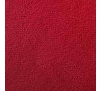 Clairefontaine 93875C - Lote de 25 hojas de papel de dibujo de grano rojo brillante, A4, 21 x 29,7 cm, 160 g, ideal para dibujo y actividades creativas
