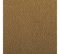 Clairefontaine 93877C Paquete Papel Etival Color - 25 Hojas Papel de Dibujo con Grano Havana - A4 21x29,7 cm 160g - Ideal para el Dibujo y las Actividades Creativas