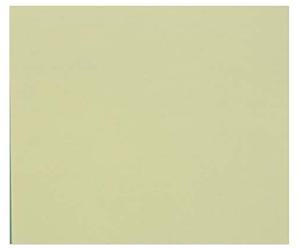 Clairefontaine 960484 C tulipán paquete de 100 hojas 160 g 21 x 29,7 cm Verde tilo