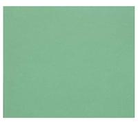Clairefontaine 960578C Paquete Papel Tulipe - 50 Hojas Papel de Dibujo con Grano Verde Oscuro - A3 29,7x42 cm 160g - Ideal para el Dibujo y las Actividades Creativas
