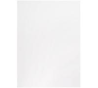 Clairefontaine 96332 C Paquete de 20 hojas Lavis técnica A3 160 G