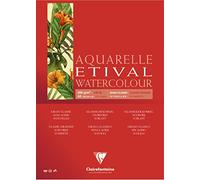 Clairefontaine 96398C - Un bloc encolado 4 lados de papel de dibujo Etival Grano Classic 10 hojas 36x48 cm 300g, Blanco
