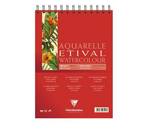 Clairefontaine 96425 C bloque Etival grano Classic de espiral A5 10 hojas 300 G