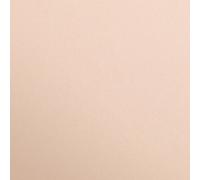 Clairefontaine 97364C - Lote de 25 hojas de papel, diseño liso, A4, 21 x 29,7 cm, 120 g, ideal para dibujo y actividades creativas