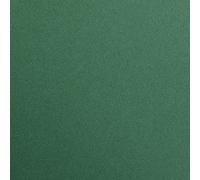 Clairefontaine 97379C - Paquete de 25 hojas de papel de dibujo maya, DIN A4, 21 x 29,7 cm, 120 g, liso, para técnica seca y enmarcado), color verde abeto