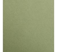 Clairefontaine 97470C - Cartulina (25 láminas, DIN A4, 21 x 29,7 cm, 300 g), color caqui
