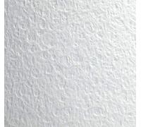 Clairefontaine 975058C Paquete de Hojas Flamboyant - 10 Hojas Papel Acuarela Blanco 50% Algodón y 50% Celulosa - Grano Extravagant - 50x65 cm 300g