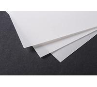 Clairefontaine 975131C Paquete Papel Calco - 10 Hojas Papel Calco Altamente Transparente - A2 42x59,4 cm 230g - Ideal para el Dibujo Técnico