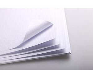 Clairefontaine 975187C Paquet Bristol - 20 Feuilles Papier Bristol Quadrillé Petits Carreaux Blanc Extra Lisse - A3 29,7x42 cm 320g - Idéal pour le Dessin Technique à la Plume et le Maquettisme
