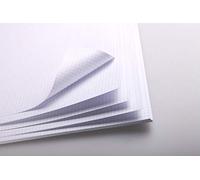 Clairefontaine 975188C Paquetee Bristol - 25 Hojas de Papel Bristol Cuadriculado Cuadros Pequeños Blanco Extra Liso - 50x65 cm 320g - Ideal para el Dibujo Técnico con Pluma y la Maquetación