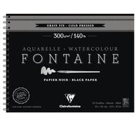 Clairefontaine 975311C - Un álbum de espiral de papel dibujo Fuente grano fino 12 hojas 24 x 30 cm, 300 g, negro
