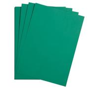 Clairefontaine 975351 C Maya paquete de 25 hojas de papel de dibujo 185 g 29,7 x 42 cm verde árbol
