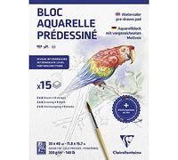 Clairefontaine 975725C - Un bloc pre-dibujado de 15 hojas (2 x 6 diseños) 30 x 40 cm, 300 g, animales