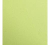 Clairefontaine 97852C Paquete Papel Maya - 25 Hojas Papel de Dibujo Liso Verde Espuma - A1 59,4x84 cm 120g - Ideal para el Dibujo y las Actividades Creativas