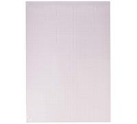 Clairefontaine Bristol 975186C - Paquete de 20 hojas de papel de cuadrícula (tamaño A3, 29,7 x 42 cm, 205 g, 20 hojas, para dibujo técnico con plumas, plantilla y plantilla